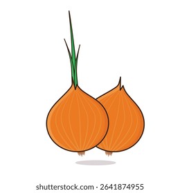 Onion. onion vector illustration. onion cartoon