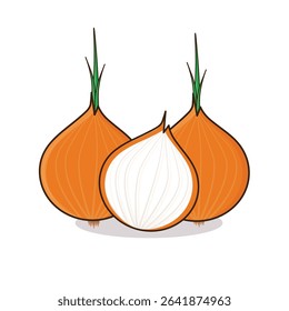 Onion. onion vector illustration. onion cartoon
