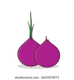 Onion. onion vector illustration. onion cartoon
