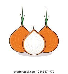 Onion. onion vector illustration. onion cartoon
