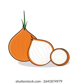 Onion. onion vector illustration. onion cartoon