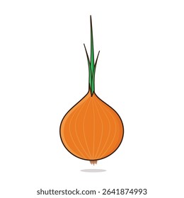 Onion. onion vector illustration. onion cartoon