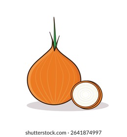 Onion. onion vector illustration. onion cartoon