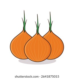 Onion. onion vector illustration. onion cartoon