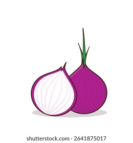 Onion. onion vector illustration. onion cartoon