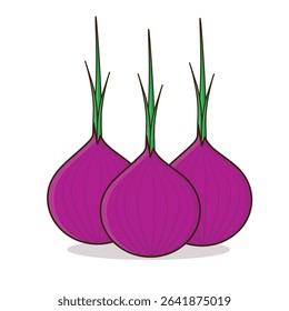 Onion. onion vector illustration. onion cartoon