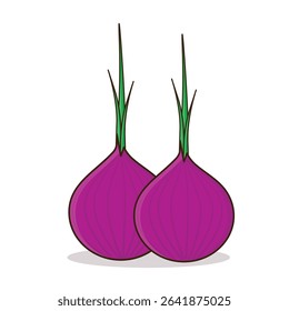 Onion. onion vector illustration. onion cartoon