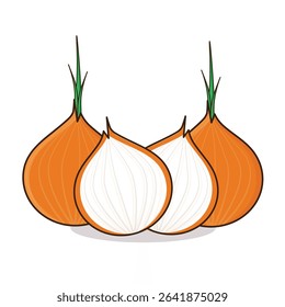Onion. onion vector illustration. onion cartoon