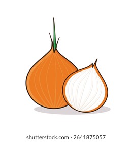 Onion. onion vector illustration. onion cartoon