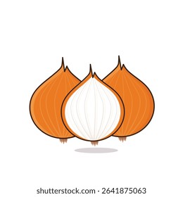 Onion. onion vector illustration. onion cartoon