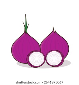 Onion. onion vector illustration. onion cartoon