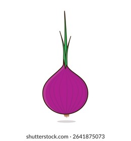 Onion. onion vector illustration. onion cartoon