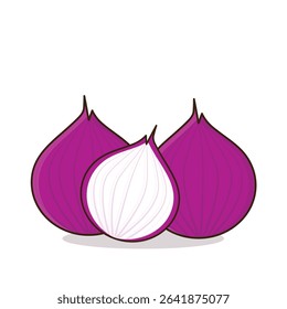 Onion. onion vector illustration. onion cartoon