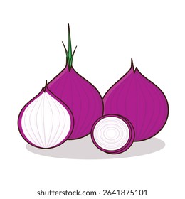 Onion. onion vector illustration. onion cartoon