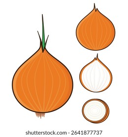 Onion. onion vector illustration. onion cartoon