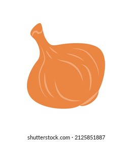 Onion. Vector illustration. Fresh vegetables.