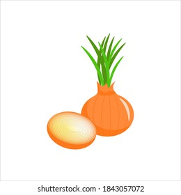 Onion. Vector illustration isolated on white background. For the design of leaflets, flyers, coupons, shops and markets.