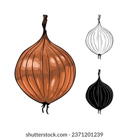 Onion Vector illustration isolated on white background