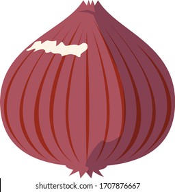 Onion vector illustration, vegetable icon