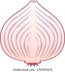 Onion vector illustration, vegetable icon