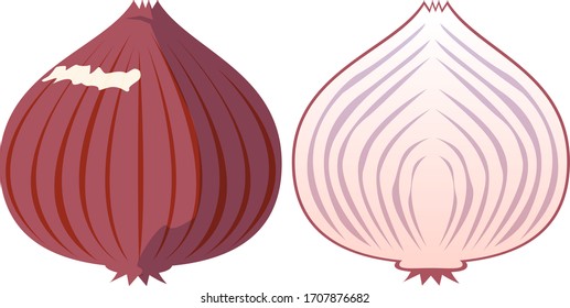 Icono vectorial de cebolla, icono vegetal