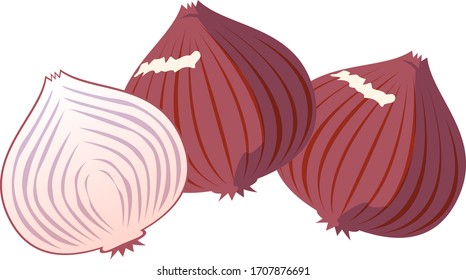 Onion vector illustration, vegetable icon