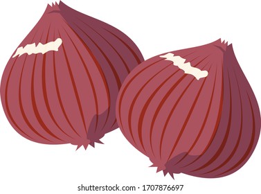 Onion vector illustration, vegetable icon