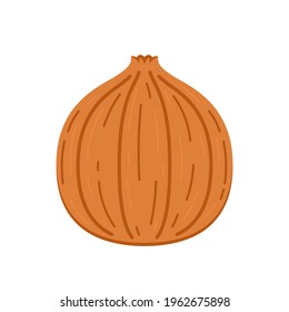 Onion vector. Onion on white background.