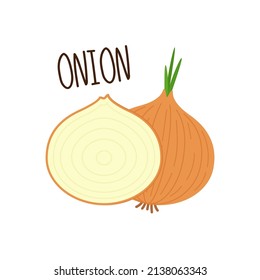 Onion vector. Onion on white background. Onion sliced.