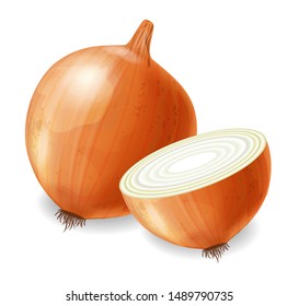 Onion vector realistic isolated on white 3d illustration