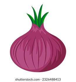 Vector de cebolla. Cebolla roja aislada en un fondo blanco.