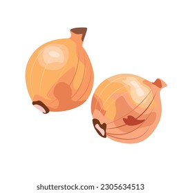 Onion vector set. Flat vector illustration isolated on white background. Cartoon style. Shallot vector.