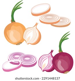 Onion vector set. Red onion with sprouts, leaf, onion ring, onion slice. Flat vector illustration isolated on white background. Cartoon style.
