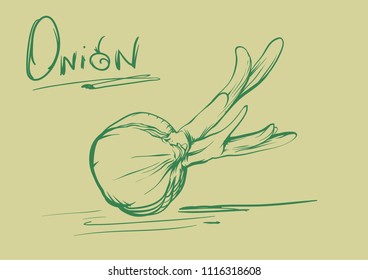 Onion vector sketch ink