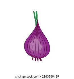 onion vector, vegetable isolated on white background, vector illustration