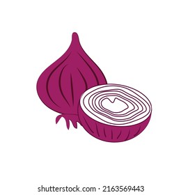 onion vector, vegetable isolated on white background, vector illustration