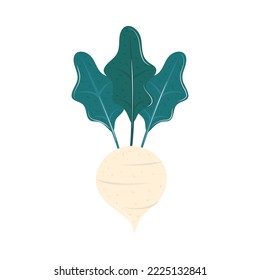 onion vegetable food icon isolated