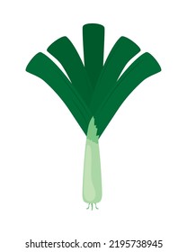 onion vegetable healthy food icon