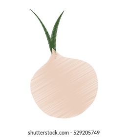 onion vegetable icon over white background. colorful design. vector illustration