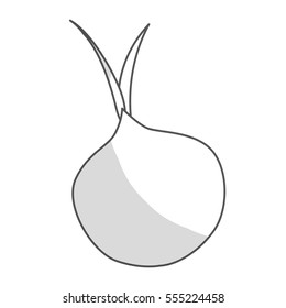 onion vegetable icon over white background. black and white design. vector illustration