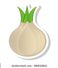 onion vegetable isolated icon vector illustration design