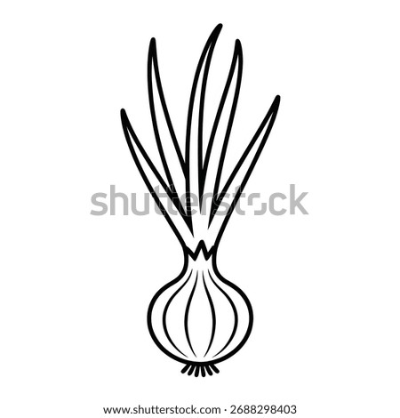 Onion Vegetable Line Art – Simple Outline Drawing, Minimal Vector Illustration for Design and Coloring