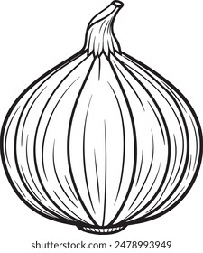 Vector vegetal de cebolla para colorear páginas para niños