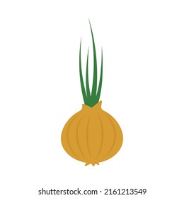 ilustración de vector vegetal de cebolla coloreada.