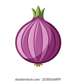 Onion Vegetable Vectors Color Image 