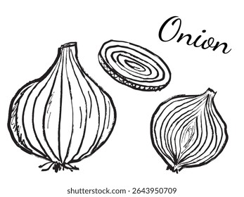 Onion vegetable, whole, half sliced and slices in black brush stroke texture isolated on white. Hand drawn vector sketch illustration in vintage charcoal ink. Fresh food, cooking, agriculture