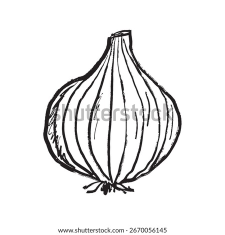 Onion vegetable, whole, half sliced and slices in black brush stroke texture isolated on white. Hand drawn vector sketch illustration in vintage charcoal ink. Fresh food, cooking, agriculture