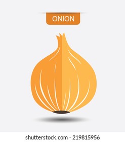 onion, vegetables vector illustration