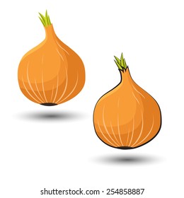 onion, vegetables vector illustration