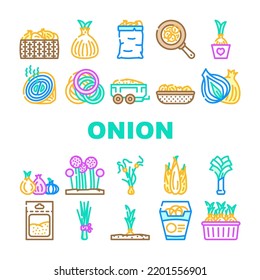 Onion White Red Food Vegetable Icons Set Vector. Cut Fresh, Half Slice, Raw Purple Green, Cooking Organic Plant Ingredient Bulb Onion White Red Food Vegetable Color Line Illustrations